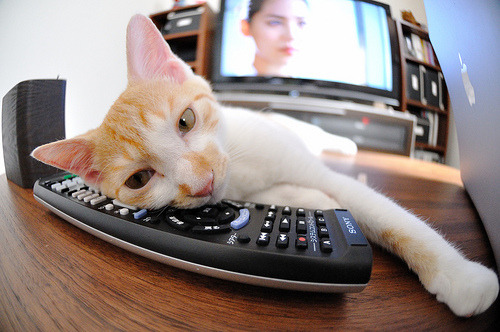 NBA球队战术演变历史回顾，nba球队战术演变历史回顾视频