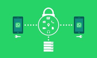 开运体育电脑版-体育新闻采编流程中的内容安全机制构建，体育新闻报道要求