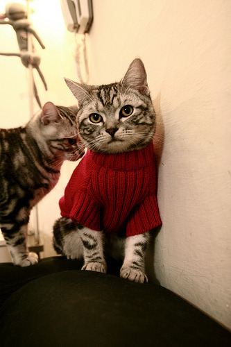 开云体育登录-五大联赛是否提高替补席进攻效率转化率，五大联赛替补人数规定