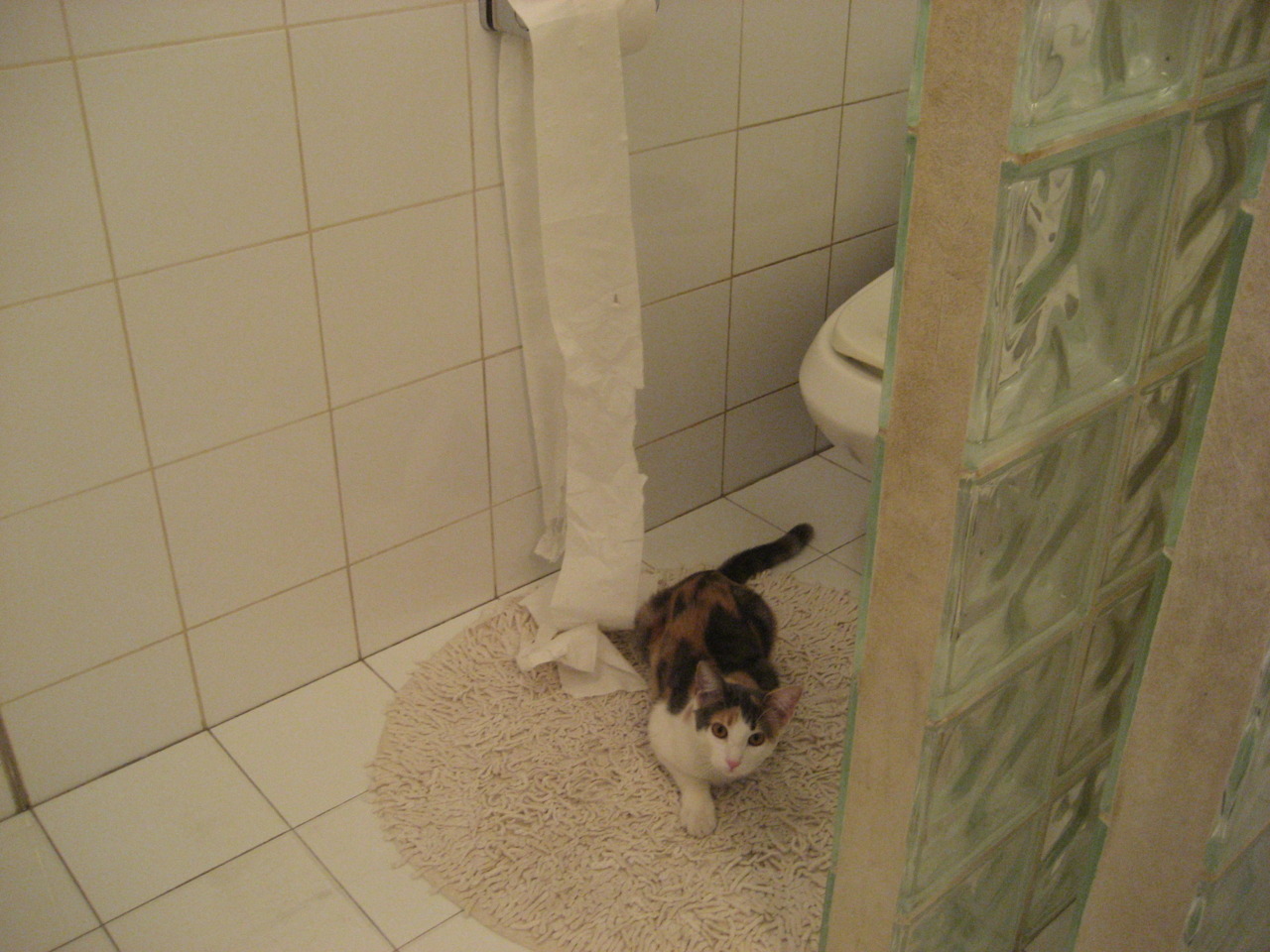 体育新闻中心参与冬季运动项目数字化改造计划,冬季体能训练新闻稿