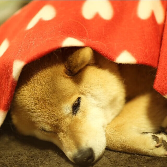 开云体育链接-裁判判罚引热议比赛节奏显著提升，裁判的判罚