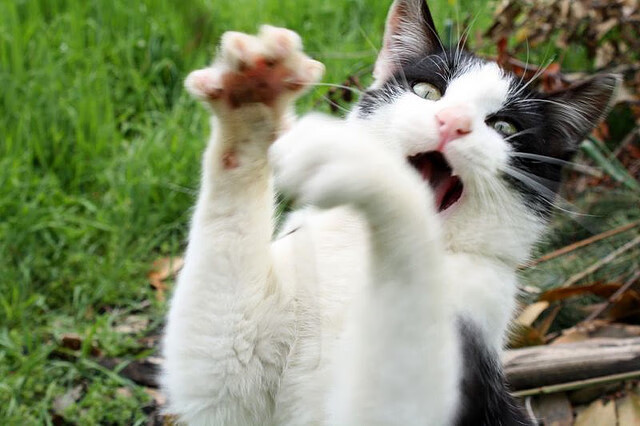 kaiyun网址-中国足球联赛优化比赛规则提升公平性，中国足球联赛制度