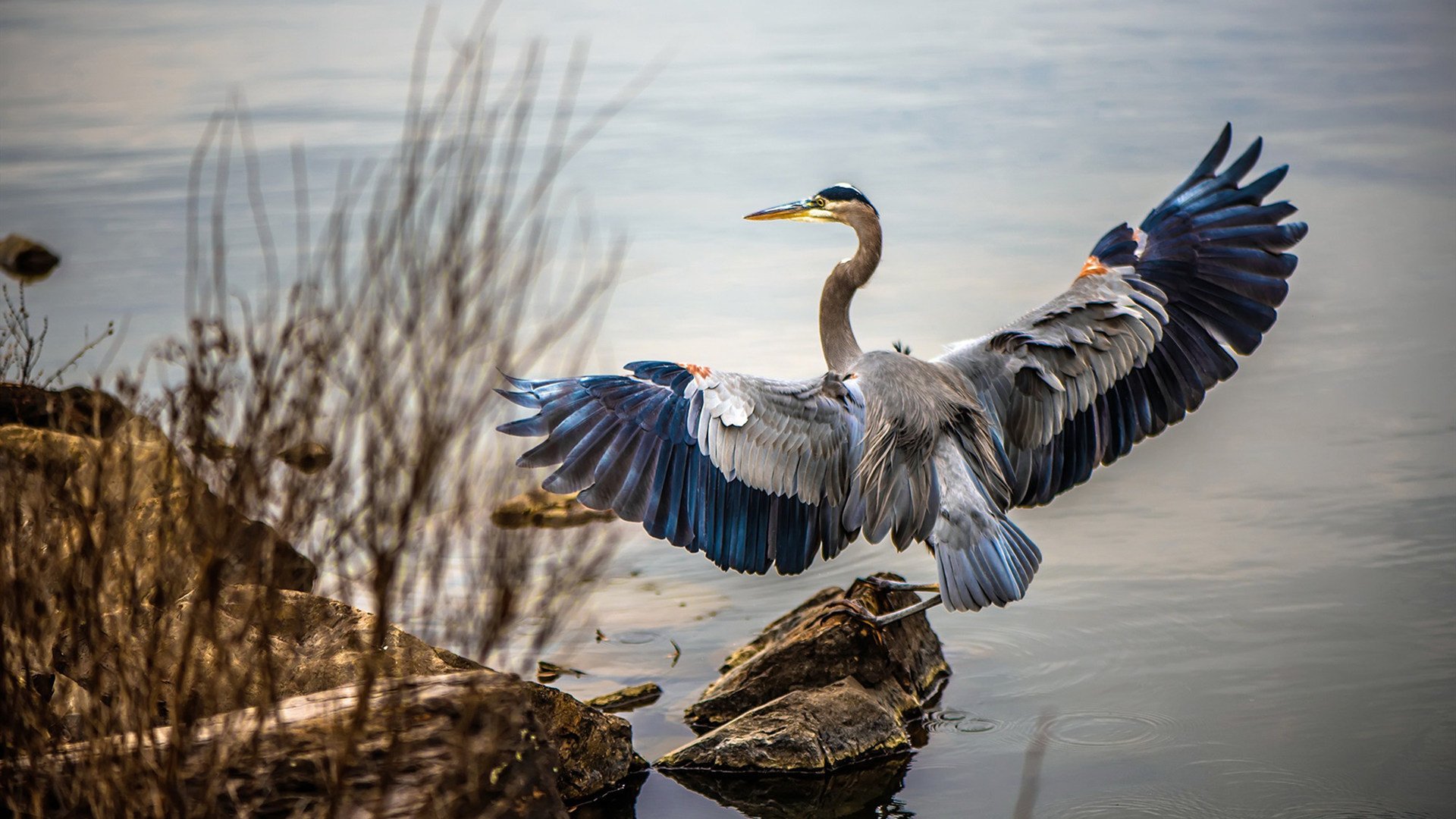 中国足球退役政策与球员再就业技能培训机制,足球 退役